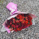 Red Alstroemeria Bouquet