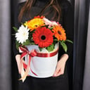 Blumenbox 'Komposition "Mila"'