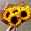 Bouquet of 7 sunflowers