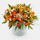 Ramo en sombrerera "Hada Roja"