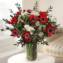 Exotic Anemones: Anemones and Freesias