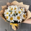 Blumenstrauß 'Kamille-Feld'