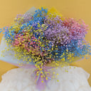 Bouquet 'Multicolored sparks'