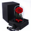 Für immer rote Rose