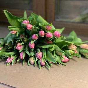 Blumenstrauß 'Bouquet of pink tulips'