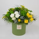 Composition with Chrysanthemum