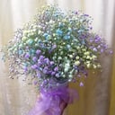 Arrangement 'Fireworks'