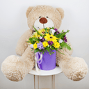 'Sunny side' with teddy bear