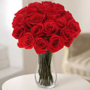 A bouquet of 15 red roses