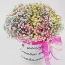 Blumenbox 'Regenbogen in einer Kiste'