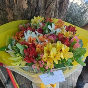 Bouquet 'Buquê de astromélias'