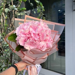 Blumenstrauß 'Hydrangea'