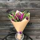 Blumenstrauß '15 lila Tulpen'