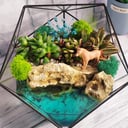 Florarium "Seclusion with nature"