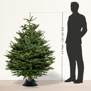 Christmas Tree 5 Feet