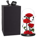 Blumenarrangement 'Red Forever – 3er-Set'