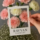 RAVVAN FLOWERS