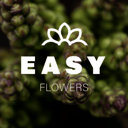 Easy Flowers