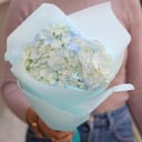 Bouquet 'Blue hydrangea in a package'
