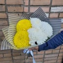 Bouquet of 5 Chrysanthemums