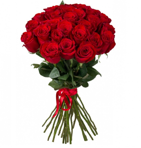 Beauty Flowers