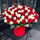 101 red and White rose