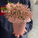 Composition of Gypsophila and Alstroemeria