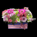 Flower box 'Surprise box'