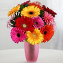 A bouquet of 15 gerberas