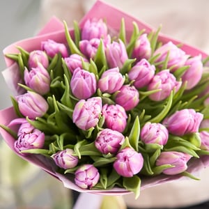 Ramo 'Tulip pink 25pcs'