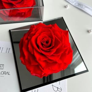 Ewige rote Rose im Acrylrahmen