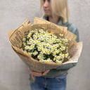 Blumenstrauß 'Frisch duftende Buschkamille'