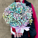 Rainbow Gypsophila in a hat box