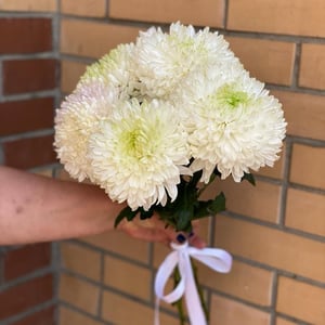 Bouquet of 5 chrysanthemums