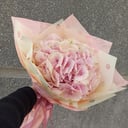 Blumenstrauß 'Hydrangea'