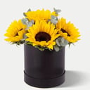 Hat box with flowers 'Golden Glow'