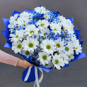 Bouquet of 7 chrysanthemums with blue gypsophila