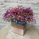 Blumenbox 'Gypsophila in einer Schachtel'
