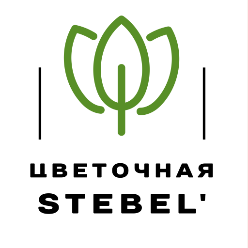 Tsvetocnaia Stebel