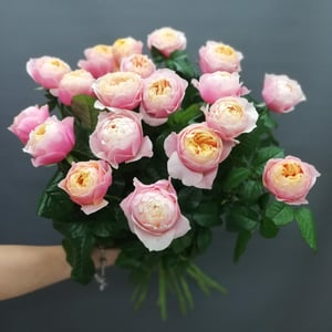 Ramo 'Boundless emotions'