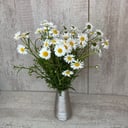 Bouquet 'Chamomile bush'