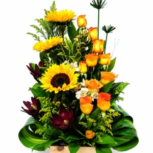 Composition florale 'Rayons de Joie'