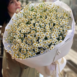 Blumenstrauß 'Field with daisies'