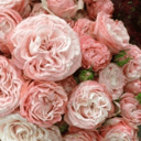 Masterskaia Anny Gromovoi "Buket"