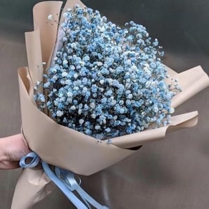 Blumenstrauß 'Bouquet of 5 branches of blue gypsophila'