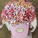 Flower box 'Composition of Multicolored Gypsophila'