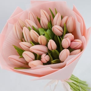 Bouquet 'Tulips are pink'
