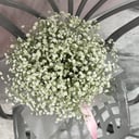 Flower box 'Cipso in box'