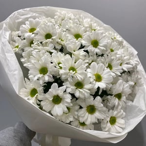Bouquet 'White spray chrysanthemum'