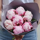 Blumenstrauß '7 ausgewählte Pfingstrosen'